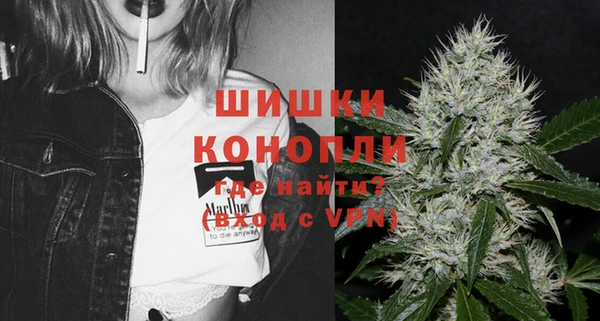 ГАЛЛЮЦИНОГЕННЫЕ ГРИБЫ Елабуга