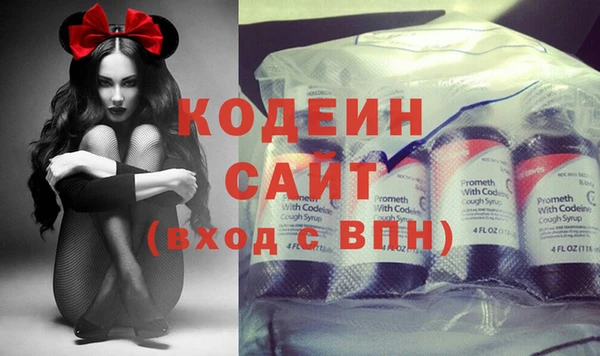 ГАЛЛЮЦИНОГЕННЫЕ ГРИБЫ Елабуга