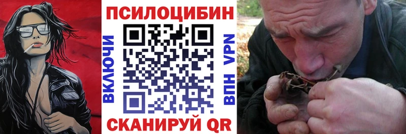 Псилоцибиновые грибы Psilocybine cubensis  Купить  Мирный 